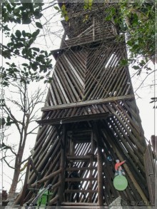 Дорога, озеро и лев