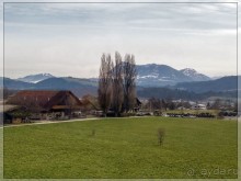 Дорога, озеро и лев