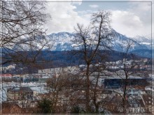 Дорога, озеро и лев