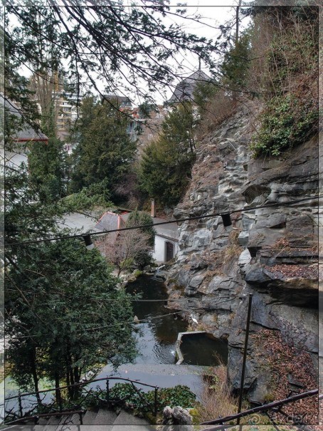 Дорога, озеро и лев