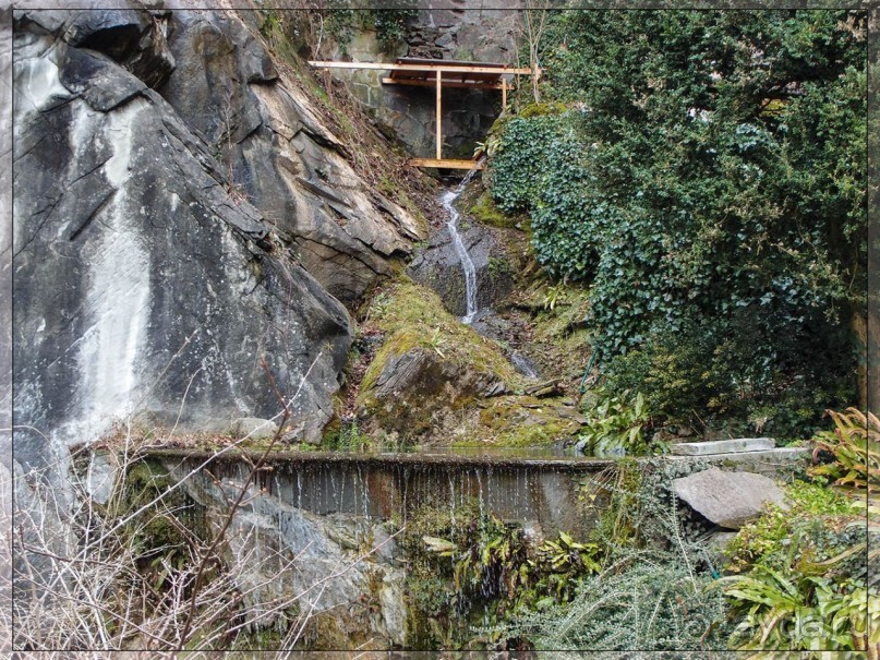 Дорога, озеро и лев