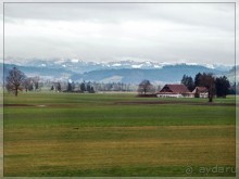 Дорога, озеро и лев