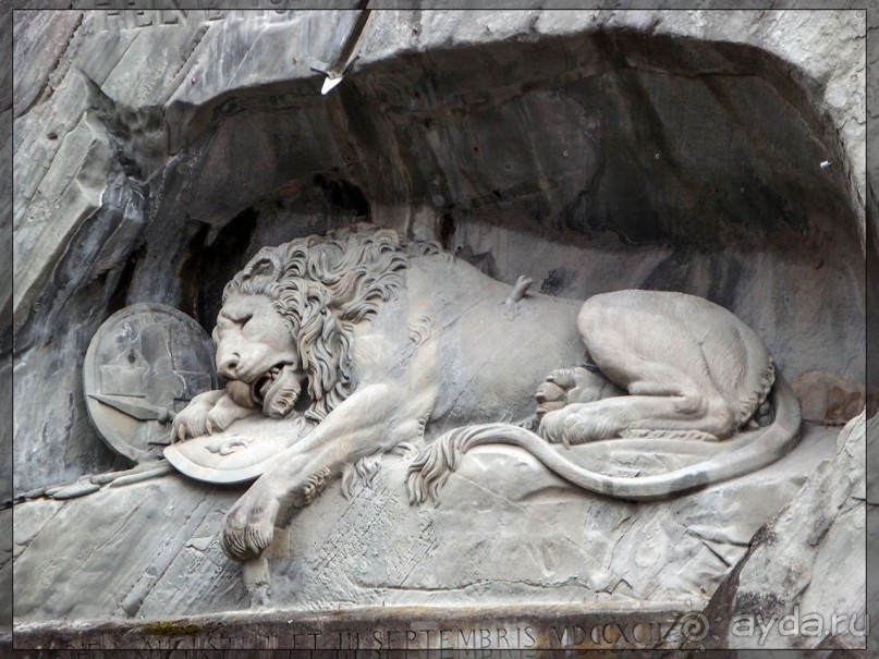 Дорога, озеро и лев