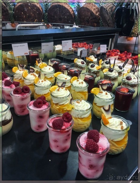 Дорога, озеро и лев