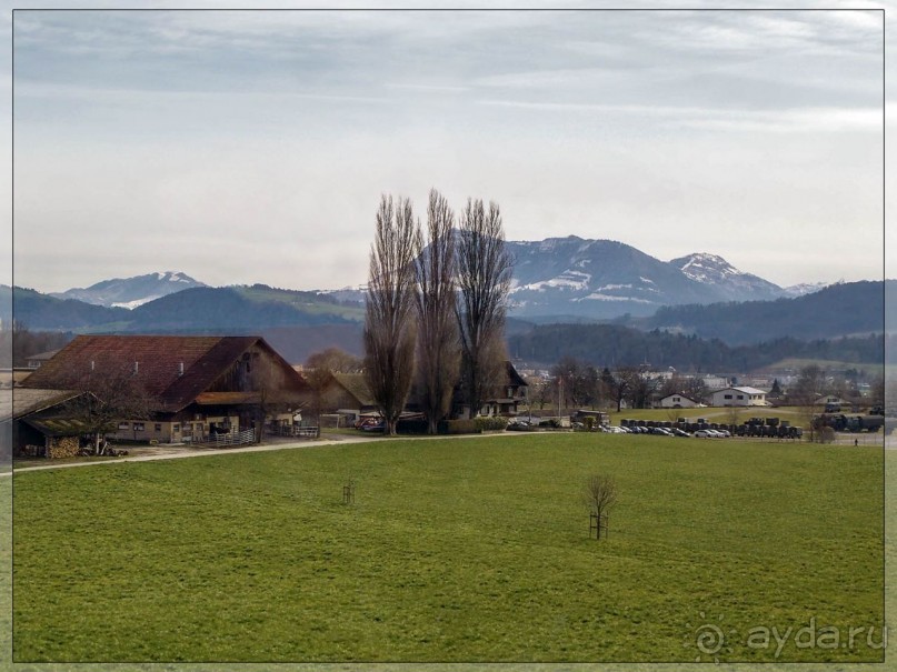Дорога, озеро и лев