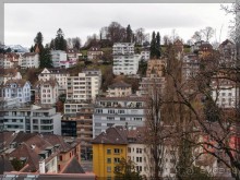 Дорога, озеро и лев