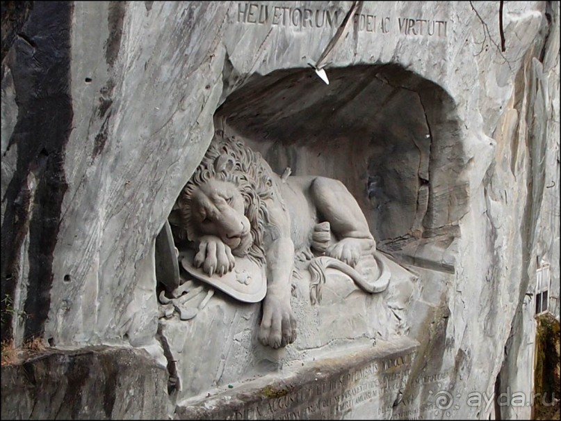 Дорога, озеро и лев