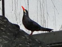 Здесь сошлись четыре океана