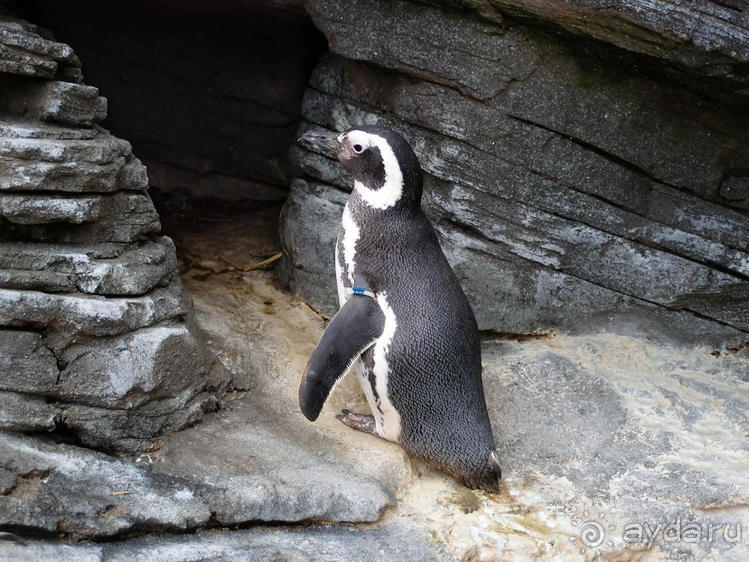 Здесь сошлись четыре океана