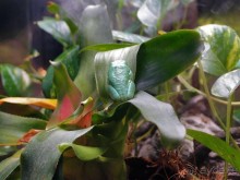 Здесь сошлись четыре океана