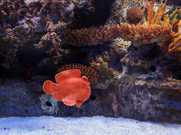 Здесь сошлись четыре океана