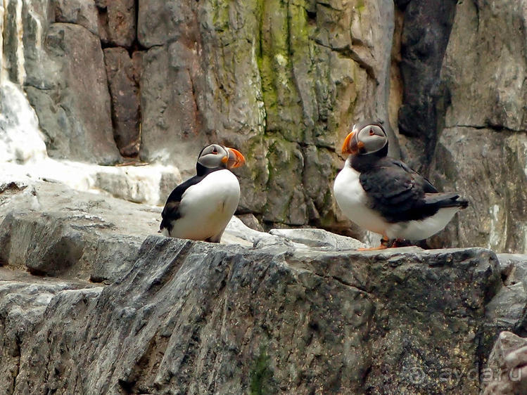 Здесь сошлись четыре океана