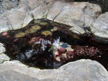 Здесь сошлись четыре океана