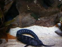 Здесь сошлись четыре океана