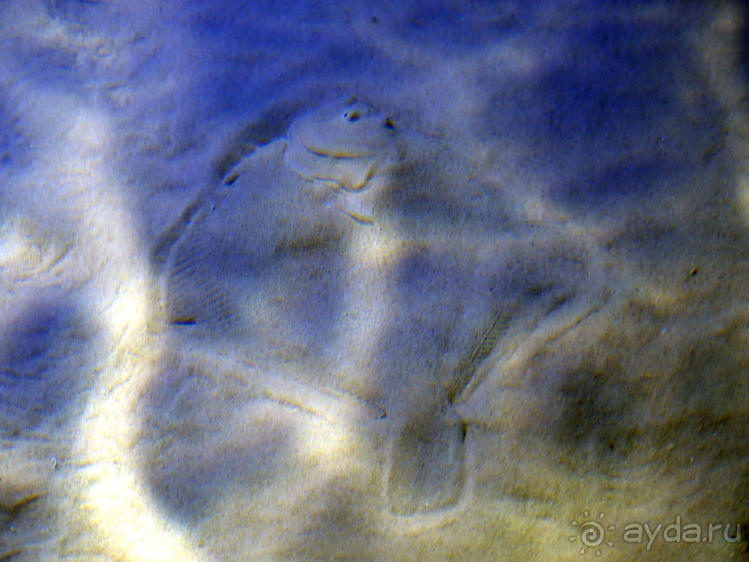 Здесь сошлись четыре океана