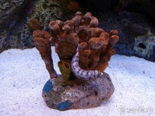 Здесь сошлись четыре океана