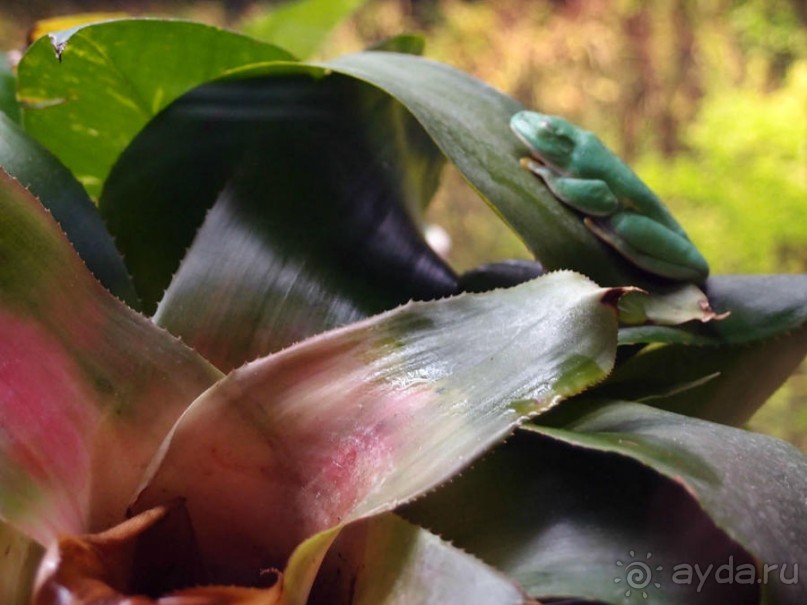 Здесь сошлись четыре океана