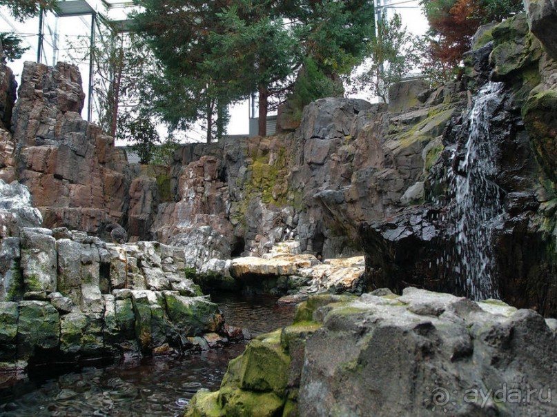 Здесь сошлись четыре океана