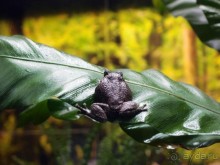 Здесь сошлись четыре океана