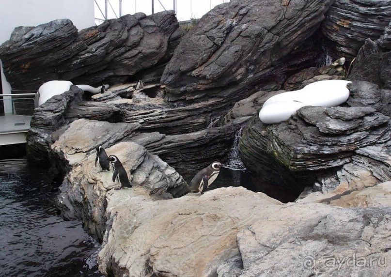 Здесь сошлись четыре океана