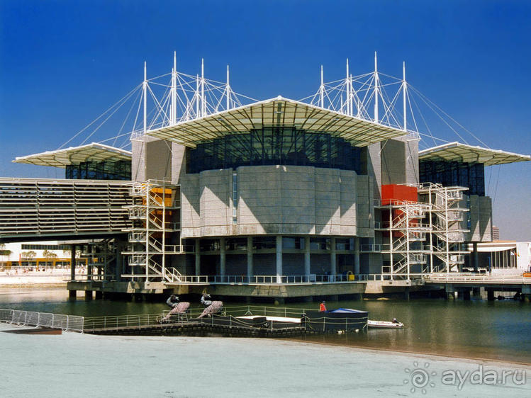 Здесь сошлись четыре океана