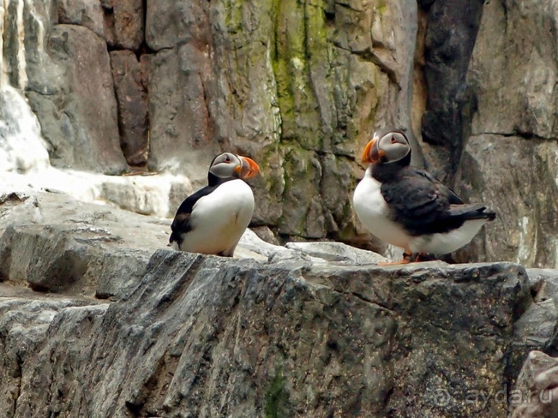 Здесь сошлись четыре океана