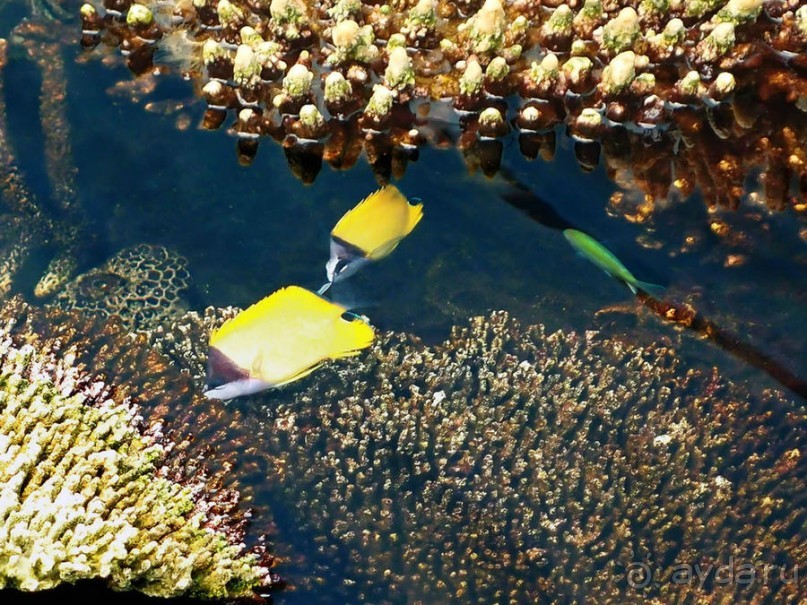 Здесь сошлись четыре океана