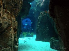 Здесь сошлись четыре океана