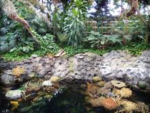 Здесь сошлись четыре океана