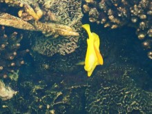 Здесь сошлись четыре океана