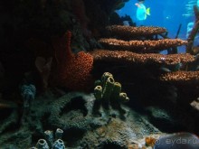 Здесь сошлись четыре океана