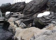 Здесь сошлись четыре океана