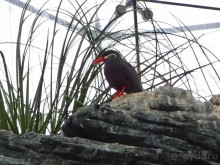 Здесь сошлись четыре океана