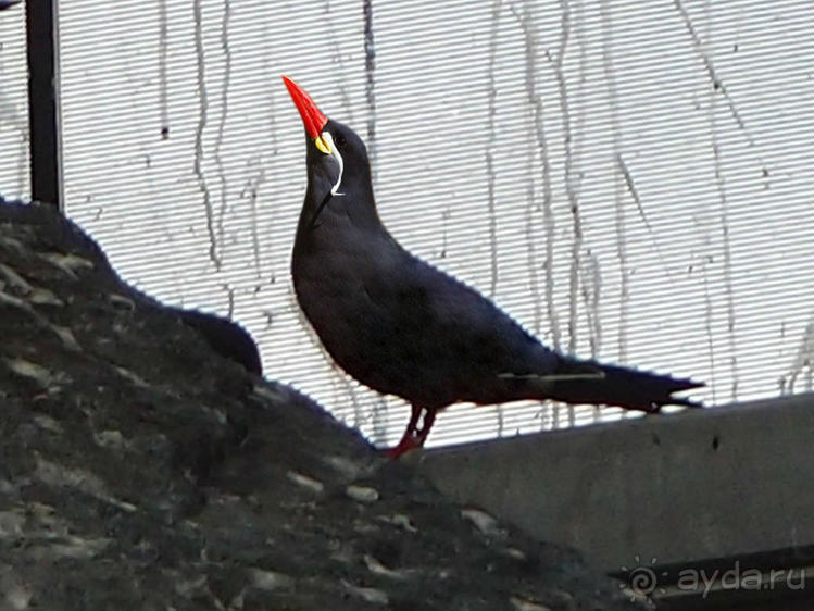 Здесь сошлись четыре океана