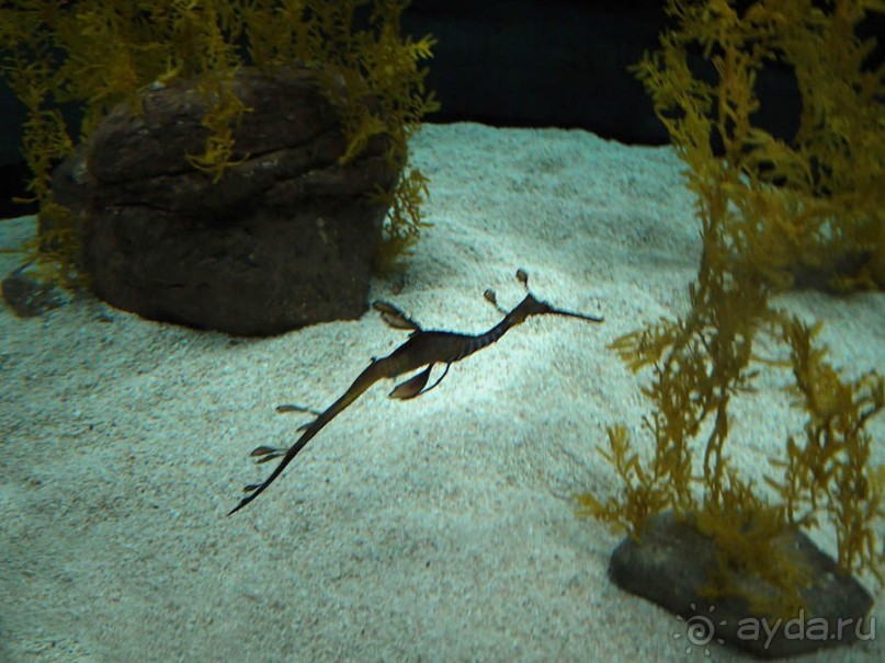 Здесь сошлись четыре океана