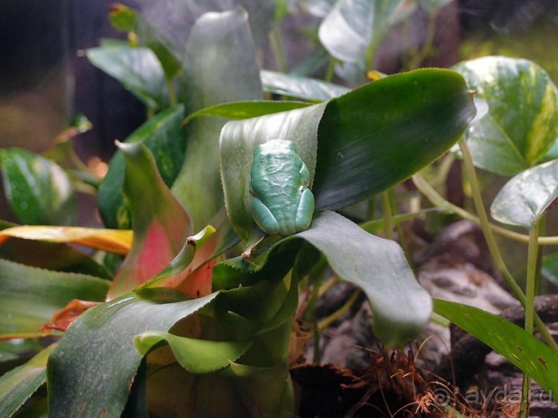 Здесь сошлись четыре океана