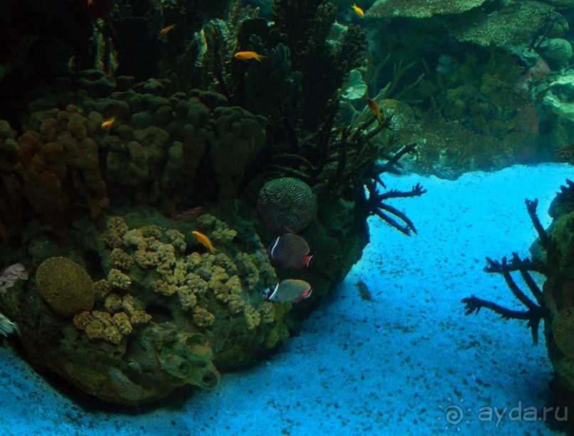 Здесь сошлись четыре океана