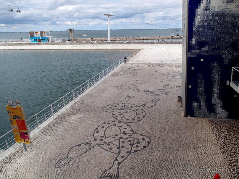 Здесь сошлись четыре океана