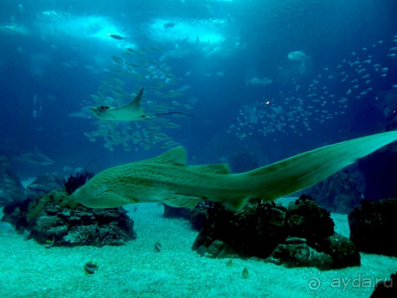 Здесь сошлись четыре океана