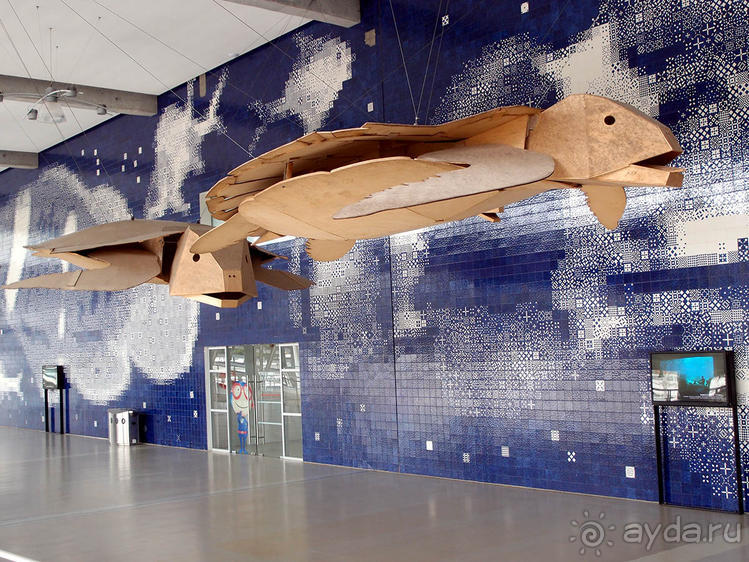 Здесь сошлись четыре океана