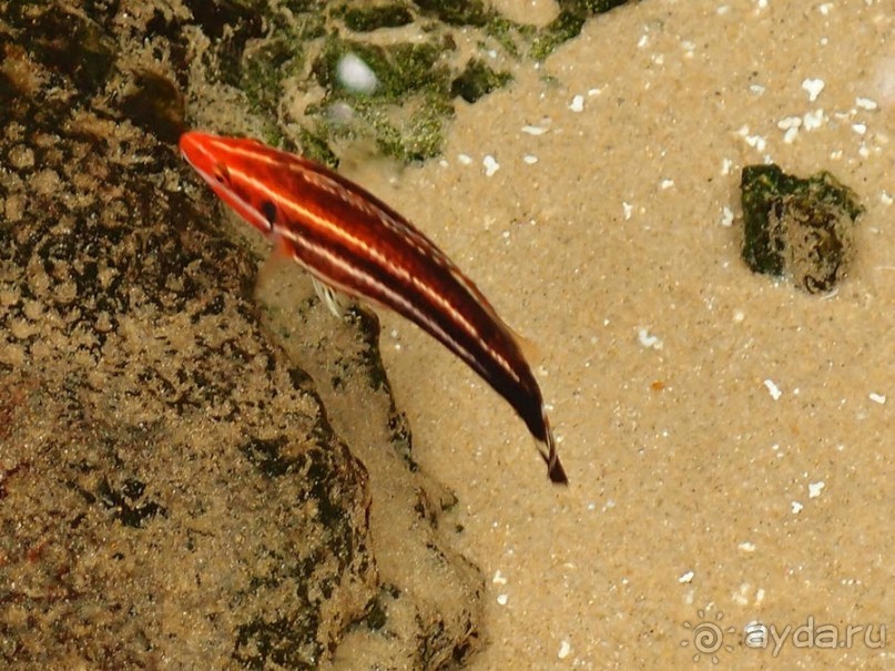 Здесь сошлись четыре океана