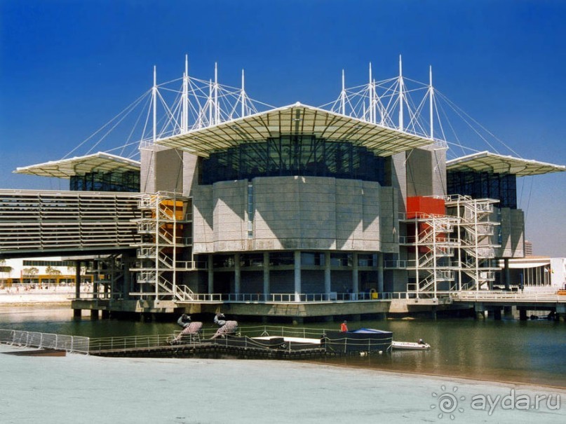 Здесь сошлись четыре океана