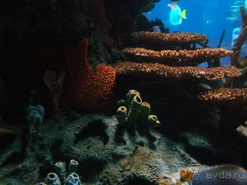 Здесь сошлись четыре океана