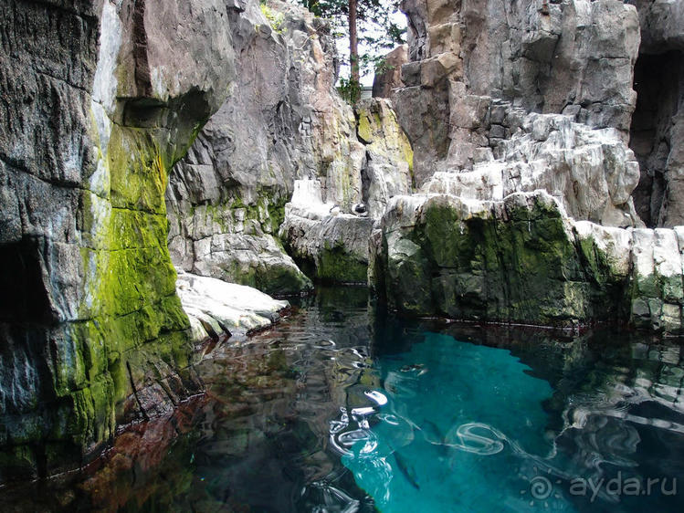 Здесь сошлись четыре океана