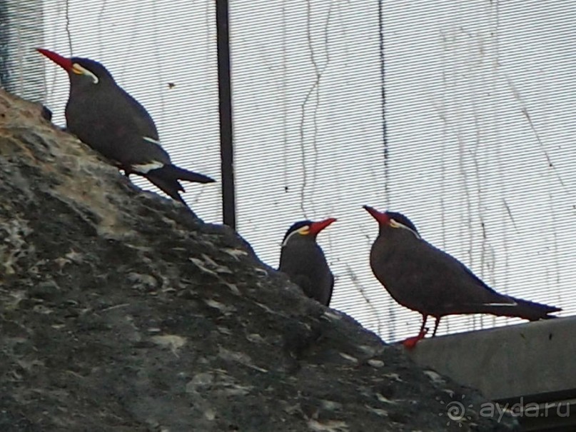 Здесь сошлись четыре океана