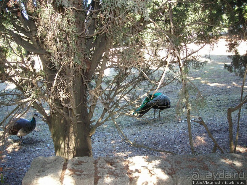 Солнечный остров посреди двух морей