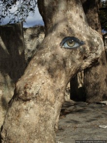 Солнечный остров посреди двух морей