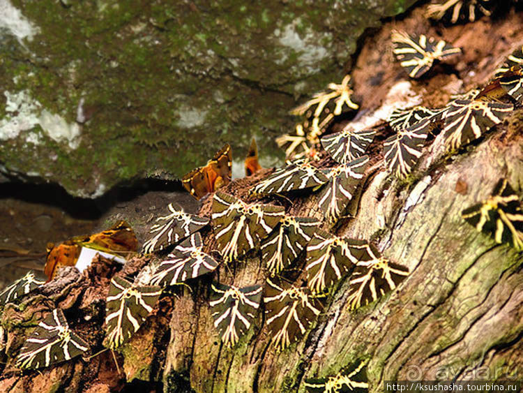 Солнечный остров посреди двух морей