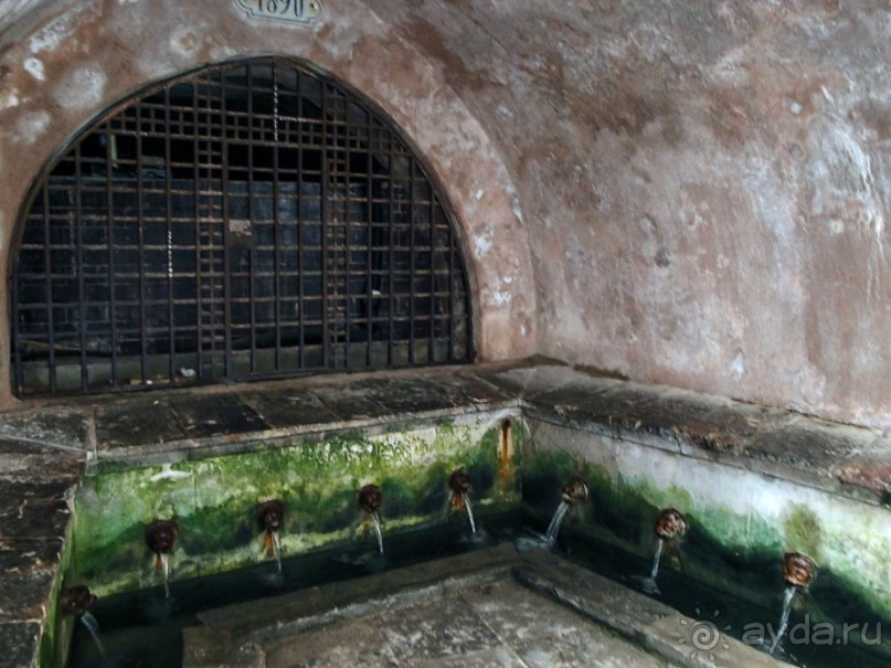 Чефалý сам себе голова