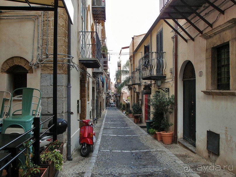 Чефалý сам себе голова